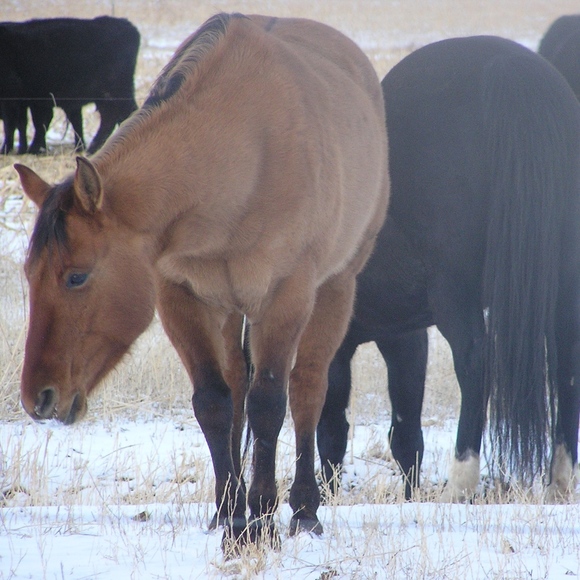 Welcome to my closet - Picture 8 of 15